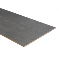 Trapwang beton grijs PRO 40 x 280 cm